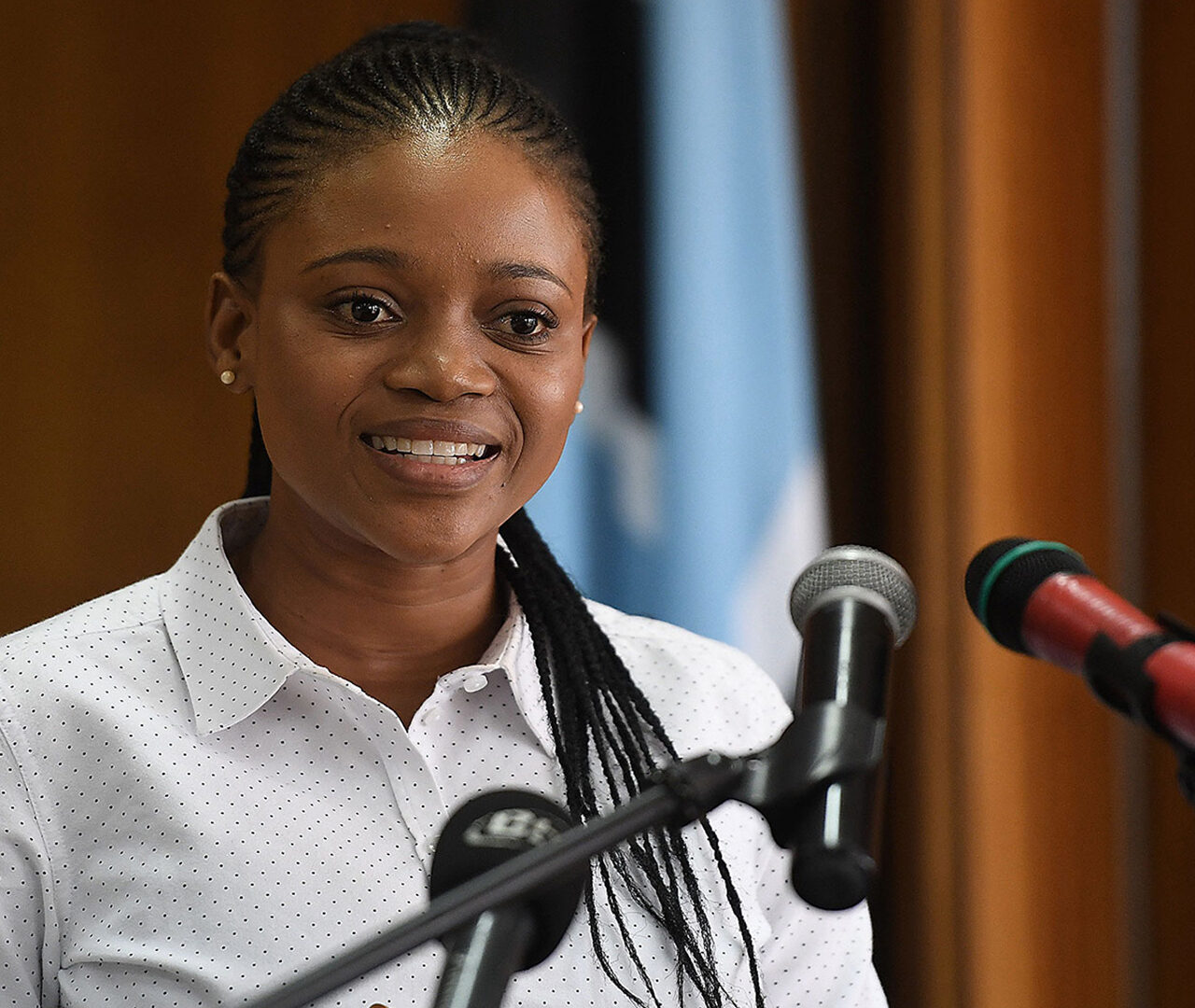 Botswana Reinforces Commitment to Lobito Refinery Stake