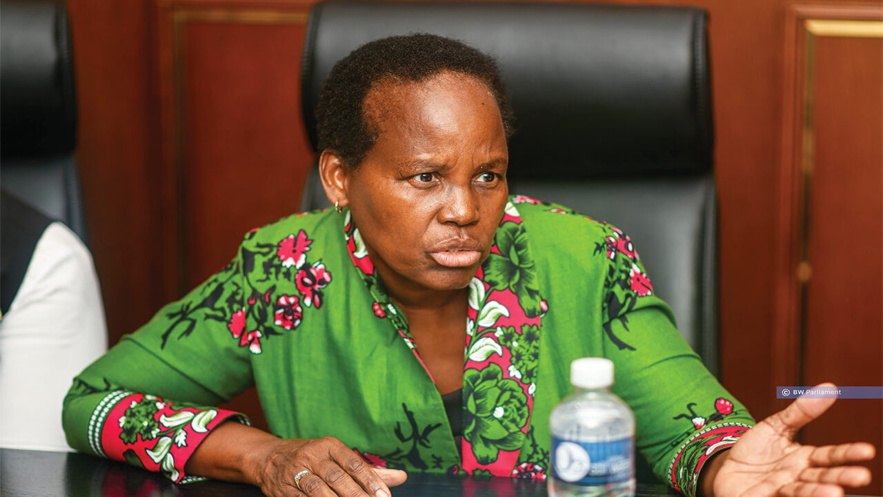 BCP will win State power in 2029 – Dow