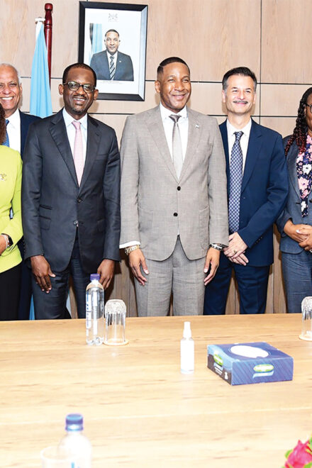 Gov’t faces criticism over Sovereign Wealth Fund appointments 