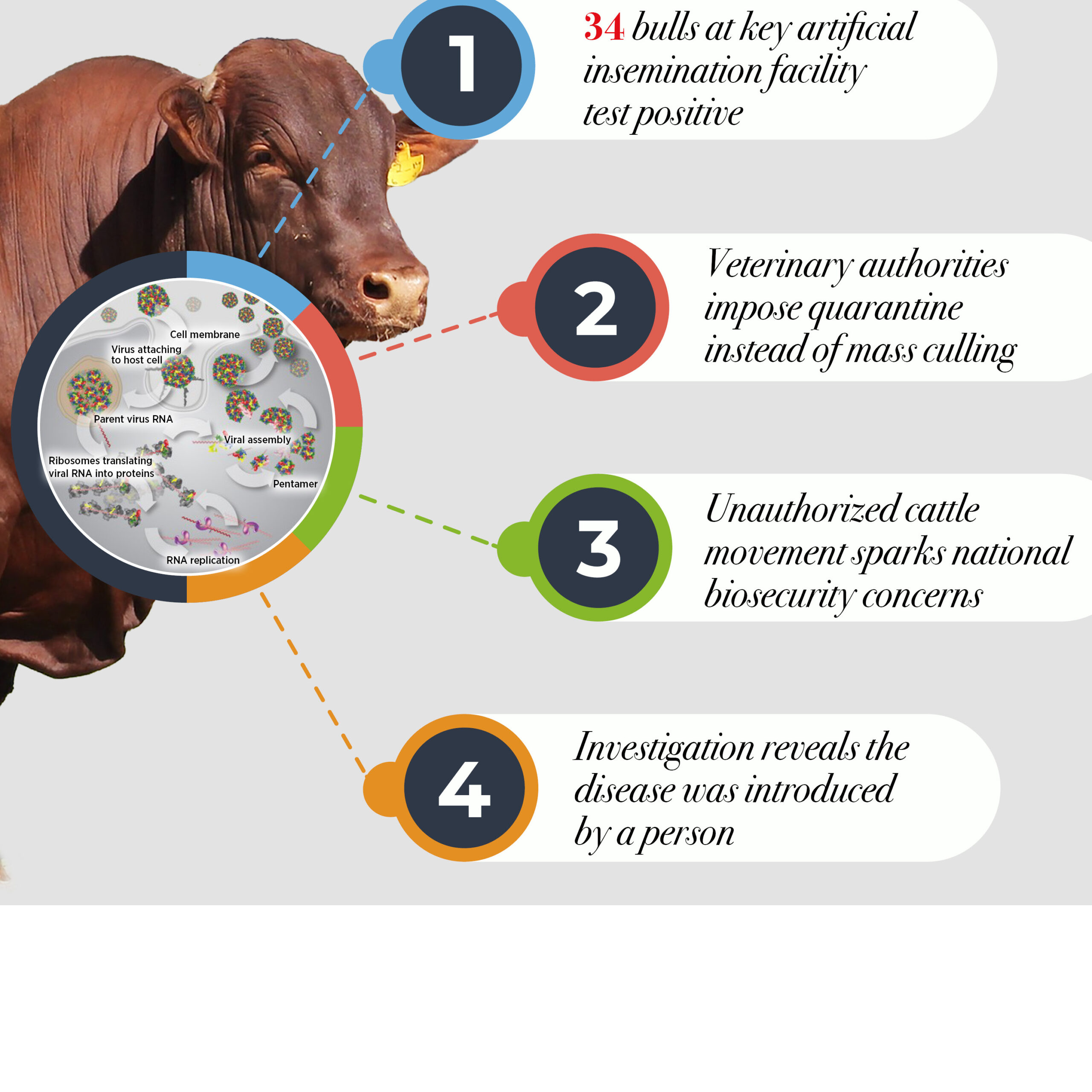 FMD outbreak strikes Ramatlabama Breeding Center