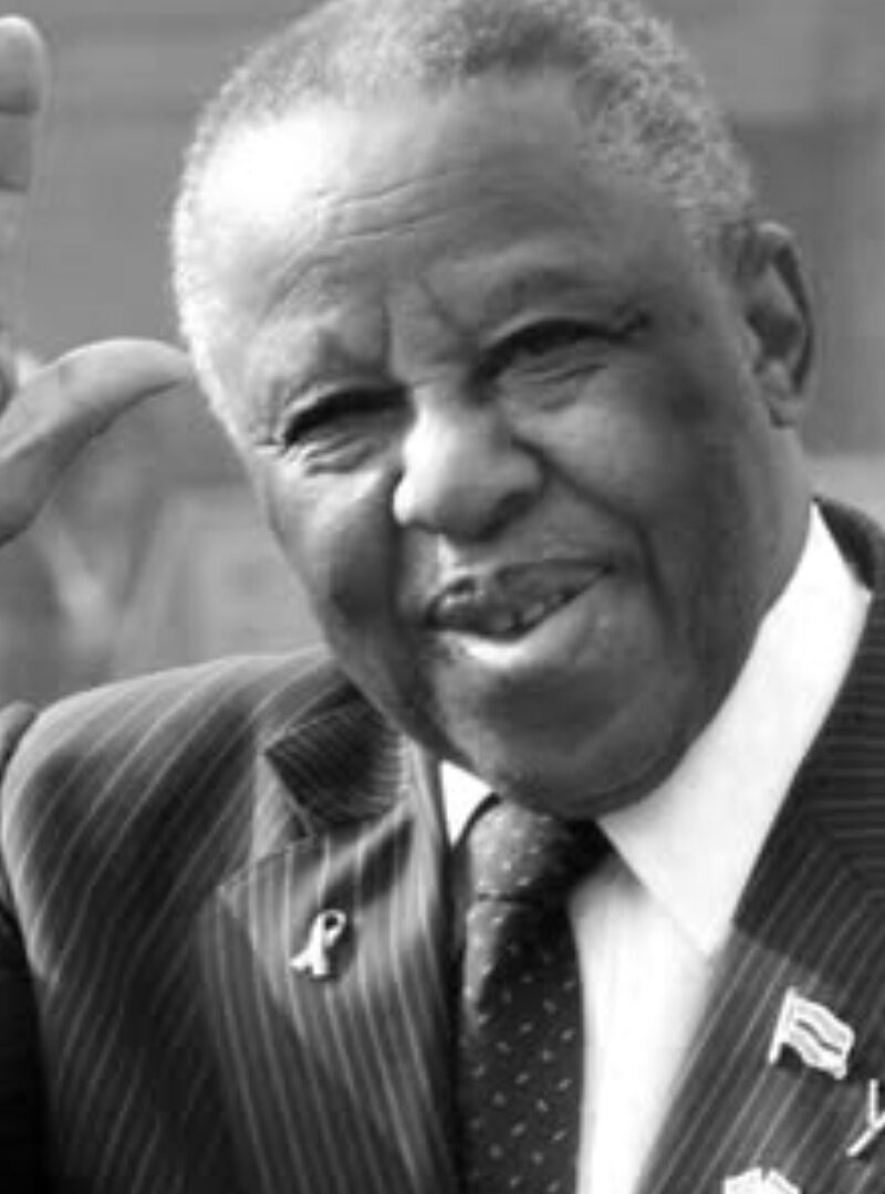 Festus Mogae: The technocrat who knew Government not BDP Politics