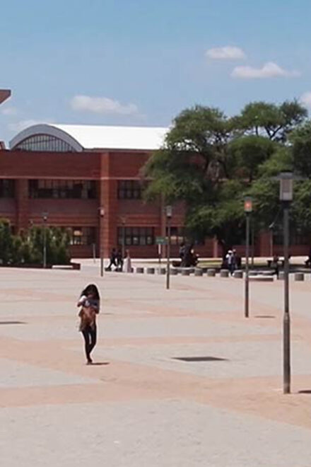 Bridging The Execution Gap: How collaborative action can transform Botswana’s economic future