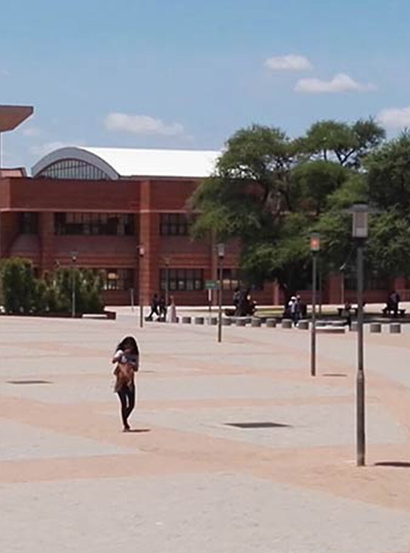 Bridging The Execution Gap: How collaborative action can transform Botswana’s economic future