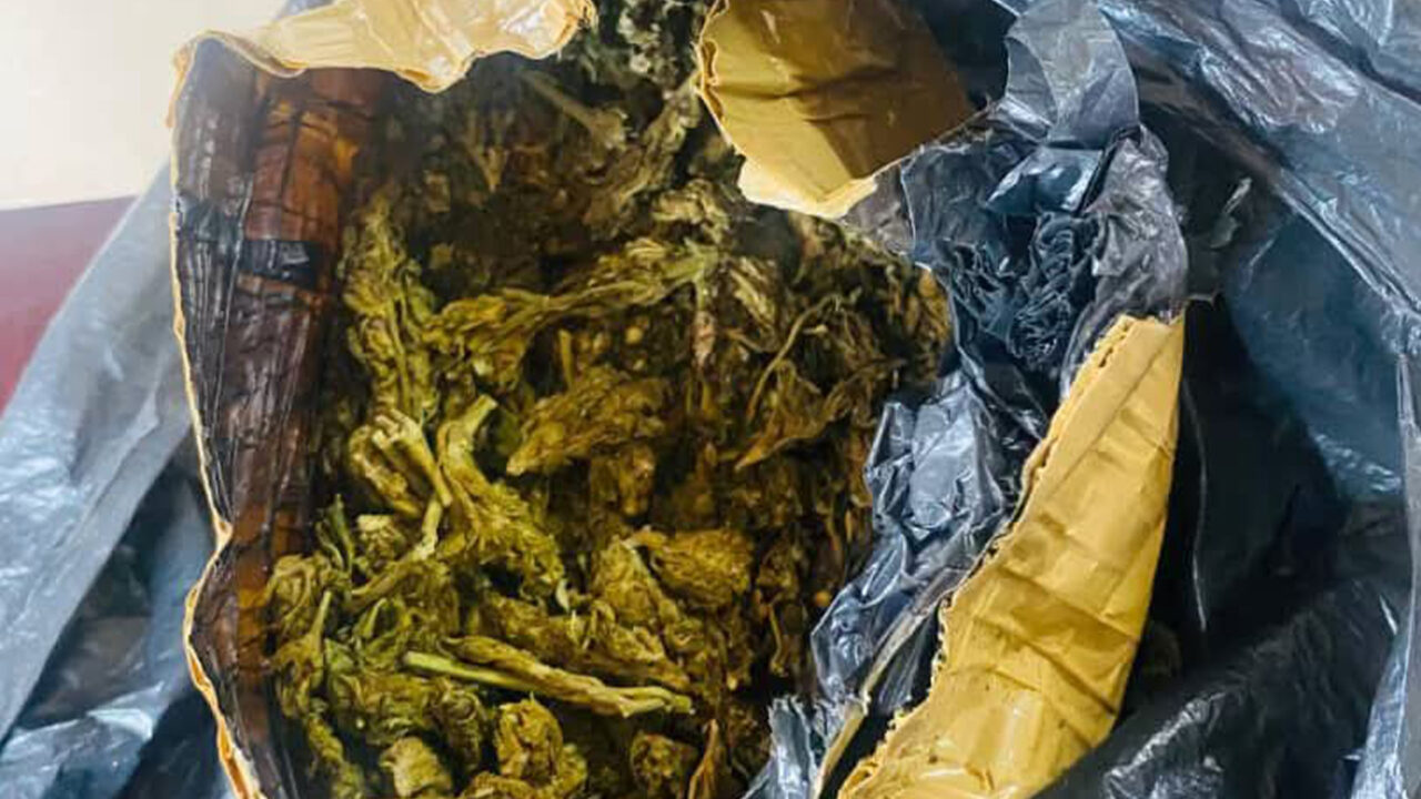 Marijuana, CAT dominate Botswana’s P54 million illicit drug trade