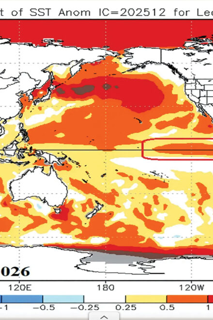 Southern Africa braces for scorching 2026