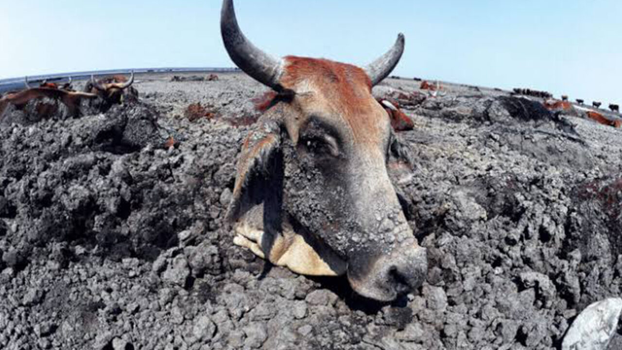 As Southern Africa Burns, the Human Body Reaches Its Limits