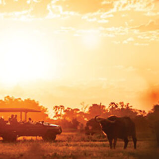 After 35 Years, Botswana’s most famous safari camp goes off-road and onto the water