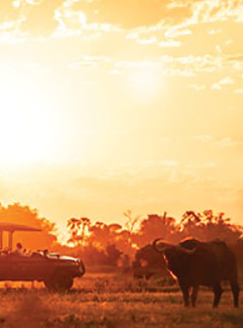 After 35 Years, Botswana’s most famous safari camp goes off-road and onto the water After 35 Years, Botswana’s most famous safari camp goes off-road and onto the water