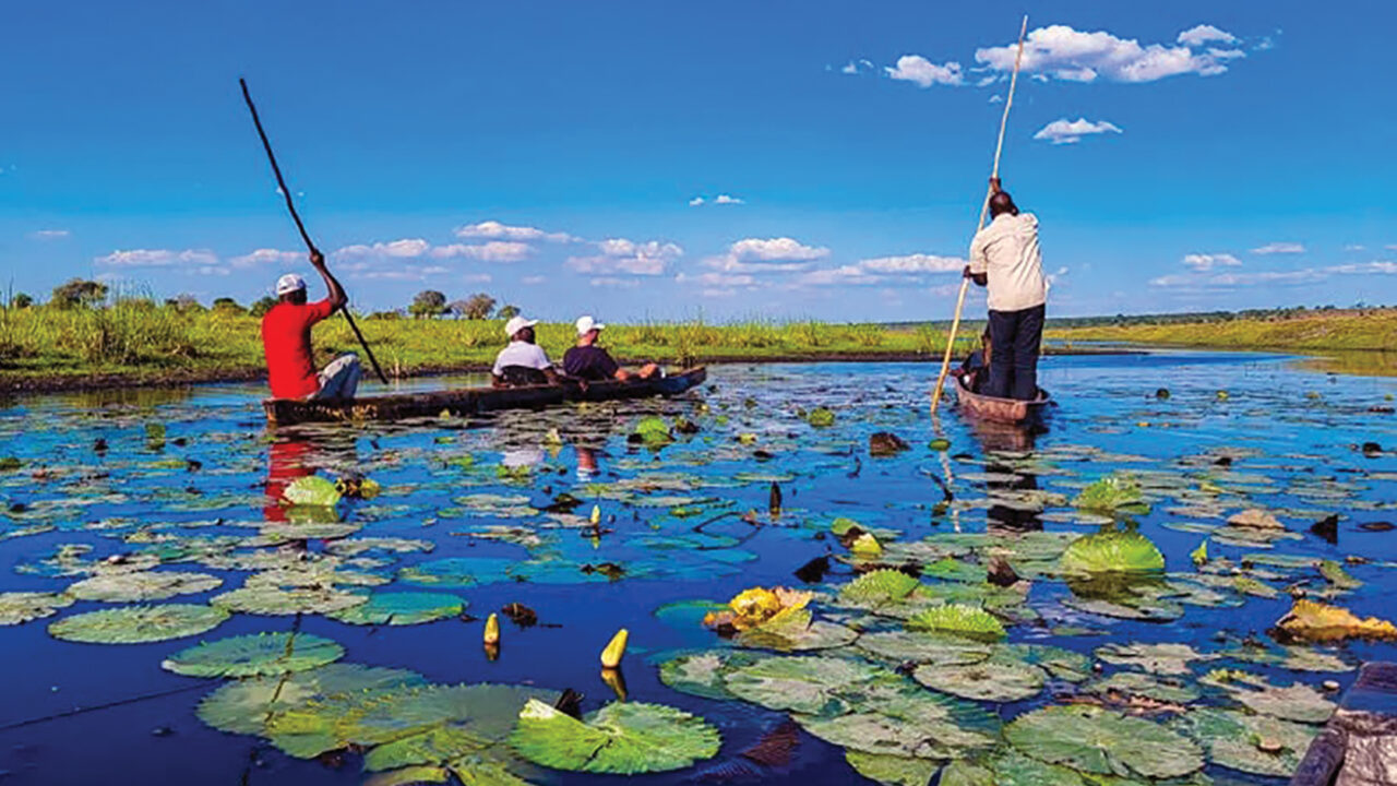 BIDPA projects tourism growth at 0.56%