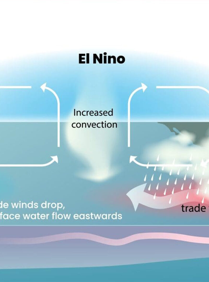 El Niño Heat Threat: Botswana’s Health Risks in 2026 El Niño Heat Threat: Botswana’s Health Risks in 2026