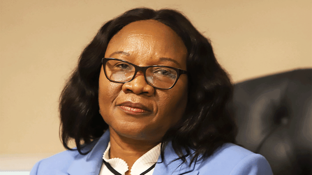 Peloetletse: Forensic audit remains a one-man secret