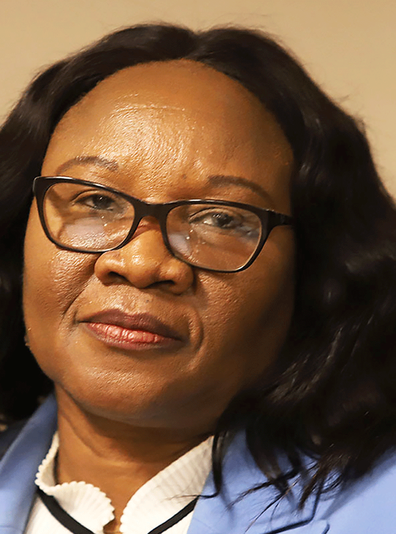 Peloetletse: Forensic audit remains a one-man secret