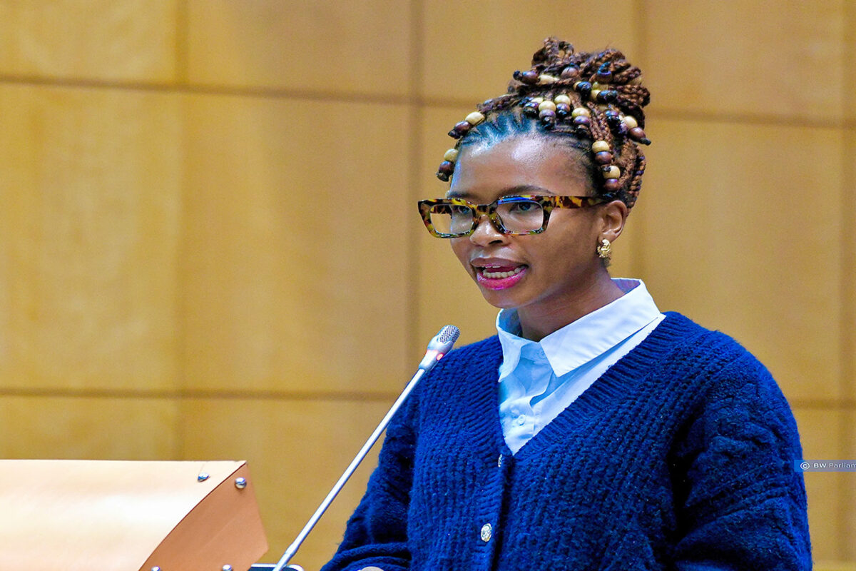 President directs dedicated GBV funding as committee advances multi-sector action plan