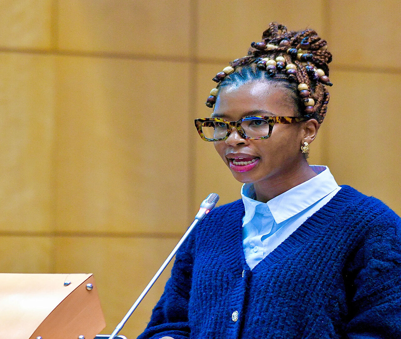 President directs dedicated GBV funding as committee advances multi-sector action plan