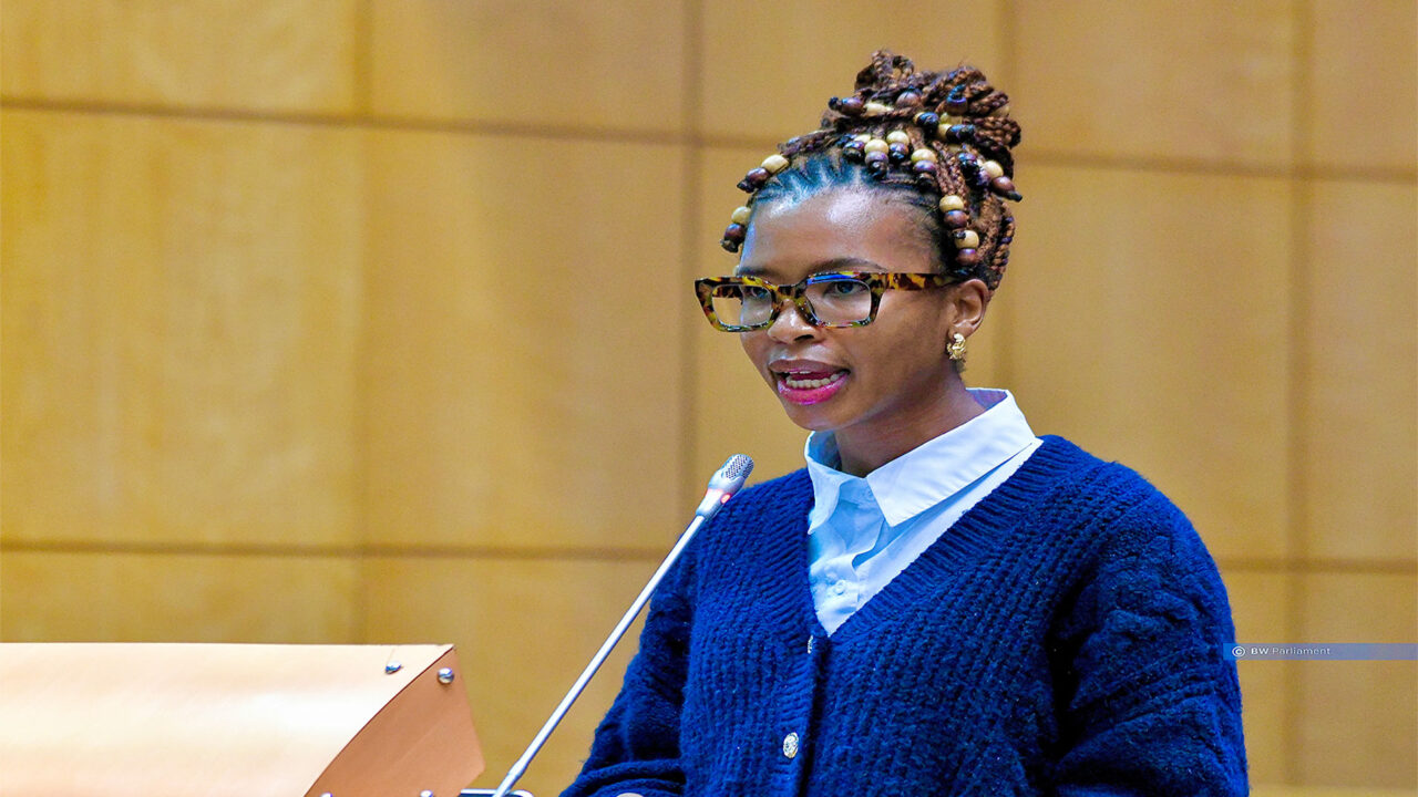 President directs dedicated GBV funding as committee advances multi-sector action plan