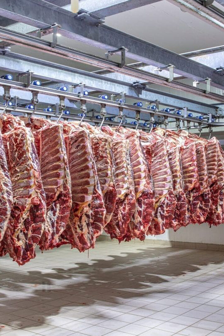 From the Kalahari to Kinshasa: Botswana’s beef industry confronts its moment of reckoning