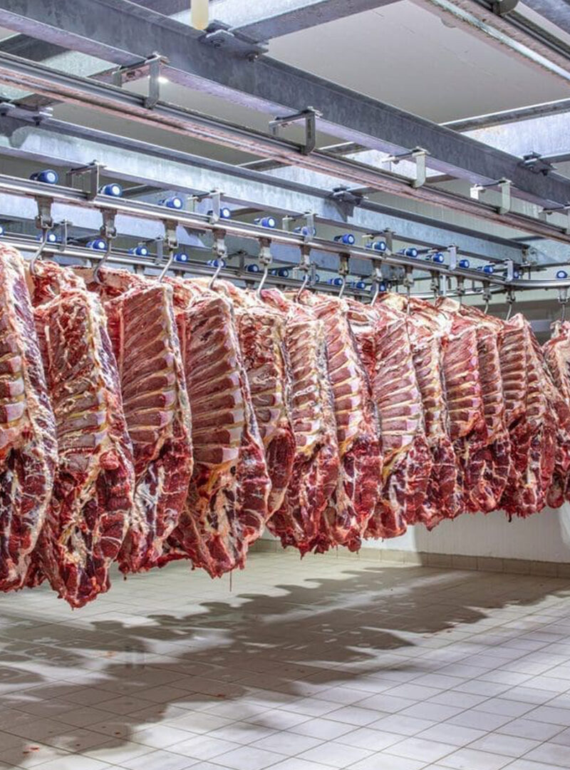 From the Kalahari to Kinshasa: Botswana’s beef industry confronts its moment of reckoning
