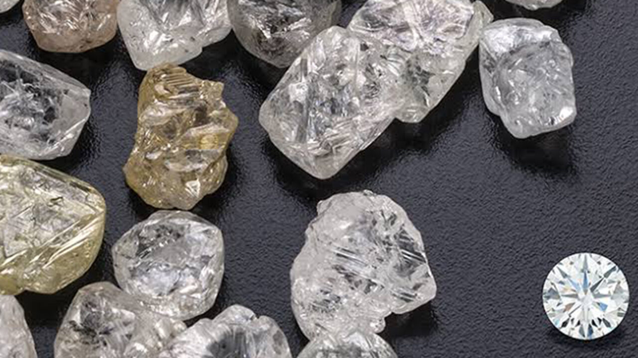 Dr Adesina’s Diamond for Development not for ‘Mickey Mouse projects’