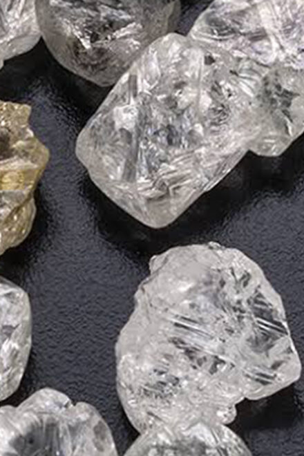 Dr Adesina’s Diamond for Development not for ‘Mickey Mouse projects’