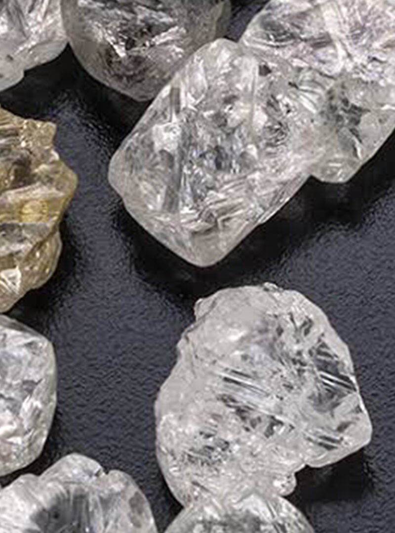 Dr Adesina’s Diamond for Development not for ‘Mickey Mouse projects’