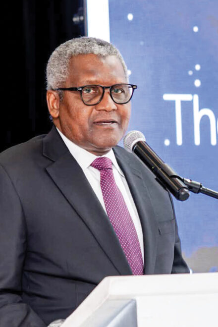 Dangote’S $46 Billion Bet