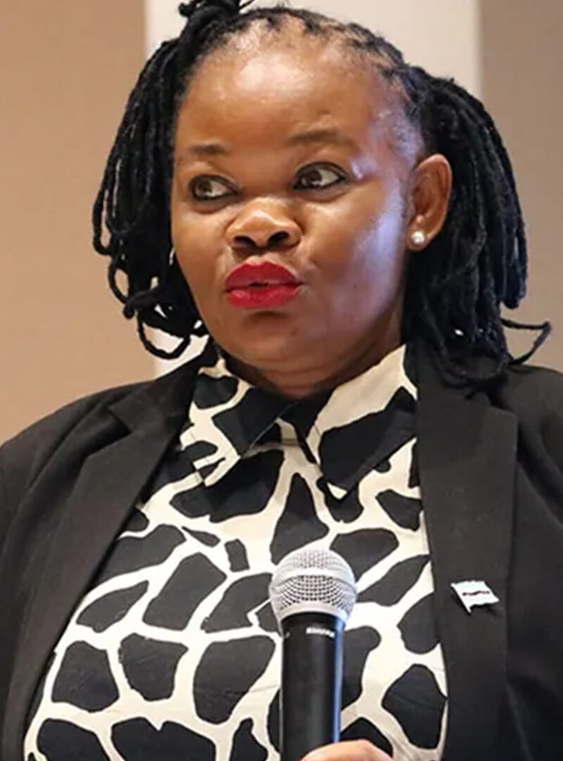 Botswana received P288 Billion in 2025 transfers